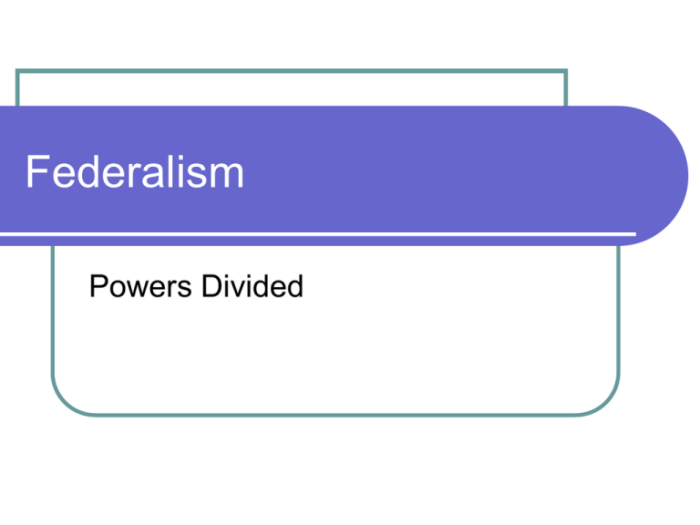 Federalism infographic government chart power takes care who illinois constitutional