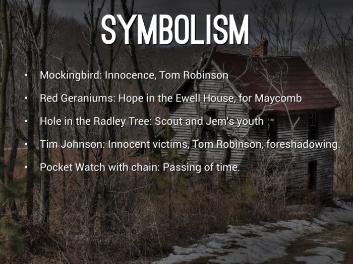 Mockingbird symbolism