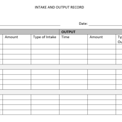 Intake and output practice worksheets