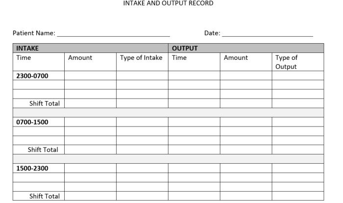 Intake and output practice worksheets