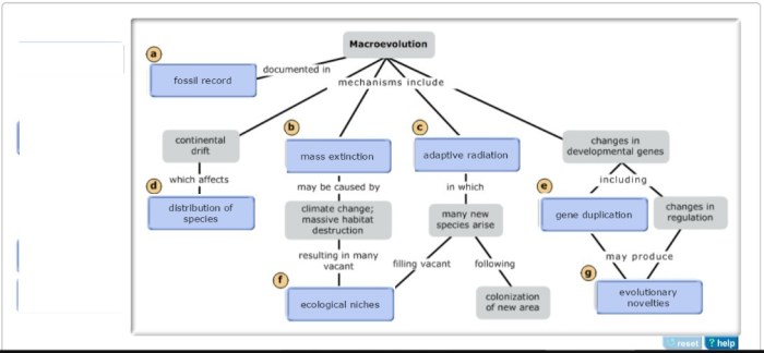 Evolution concept map answer key