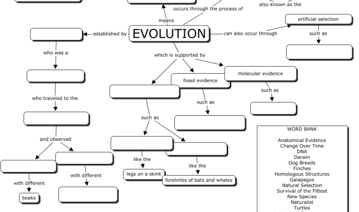 Evolution concept map answer key