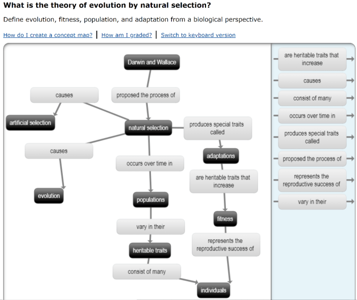 Evolution concept map answer key