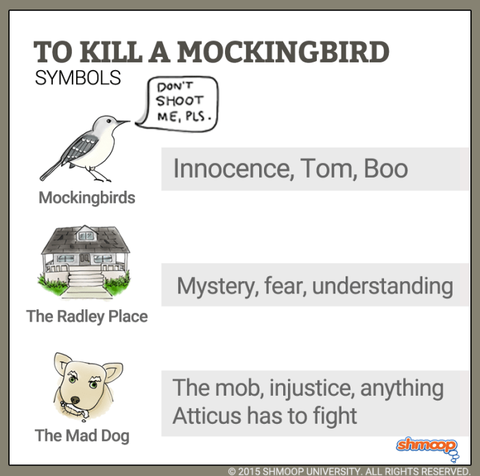 Tim johnson to kill a mockingbird symbol