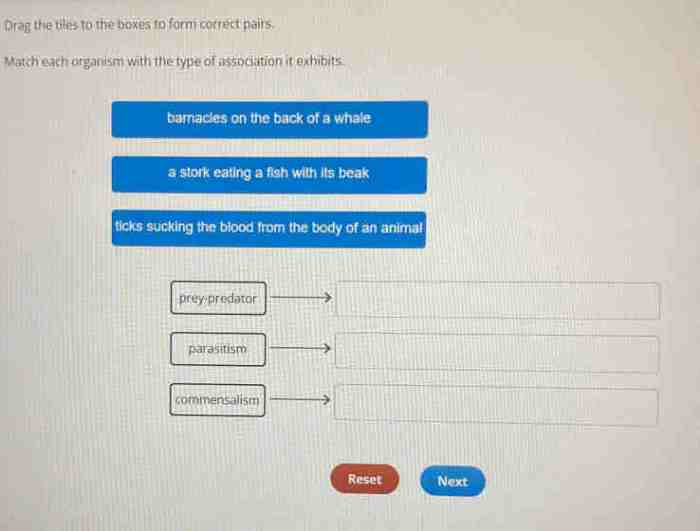 Match each organism with the correct type of body cavity