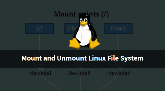 Lab 5-4 control mounting and unmounting of filesystems