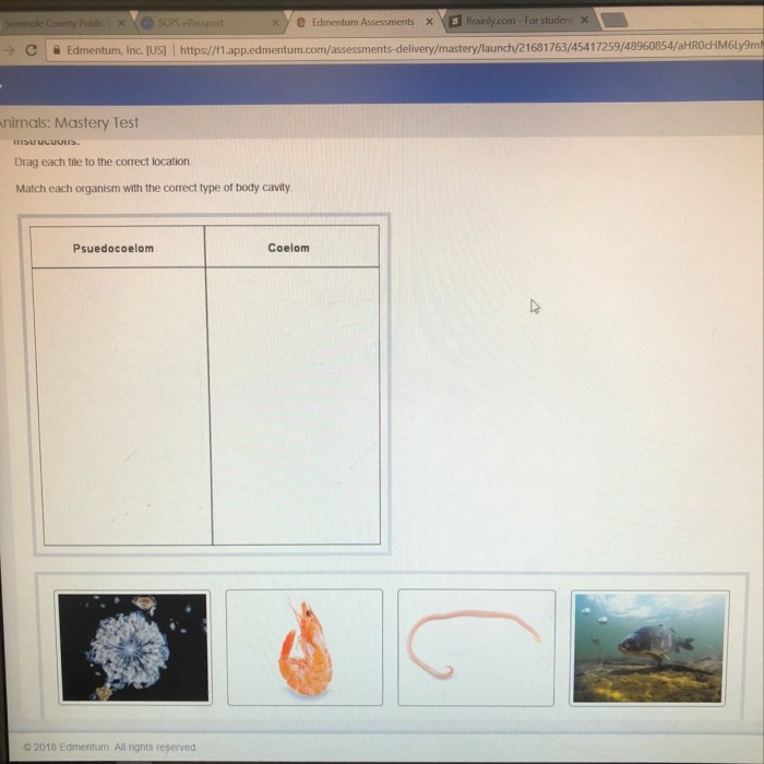 Match each organism with the correct type of body cavity