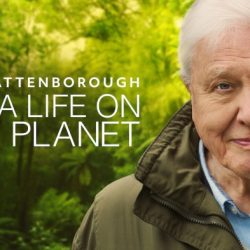 David attenborough a life on our planet answer key