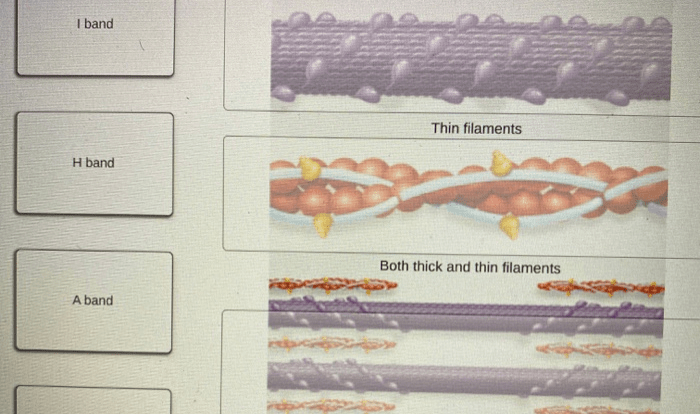 Match protein help appropriate descriptions level solved determining goes need which