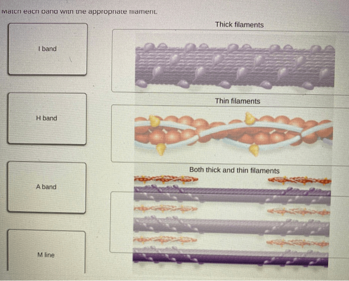 Match protein help appropriate descriptions level solved determining goes need which