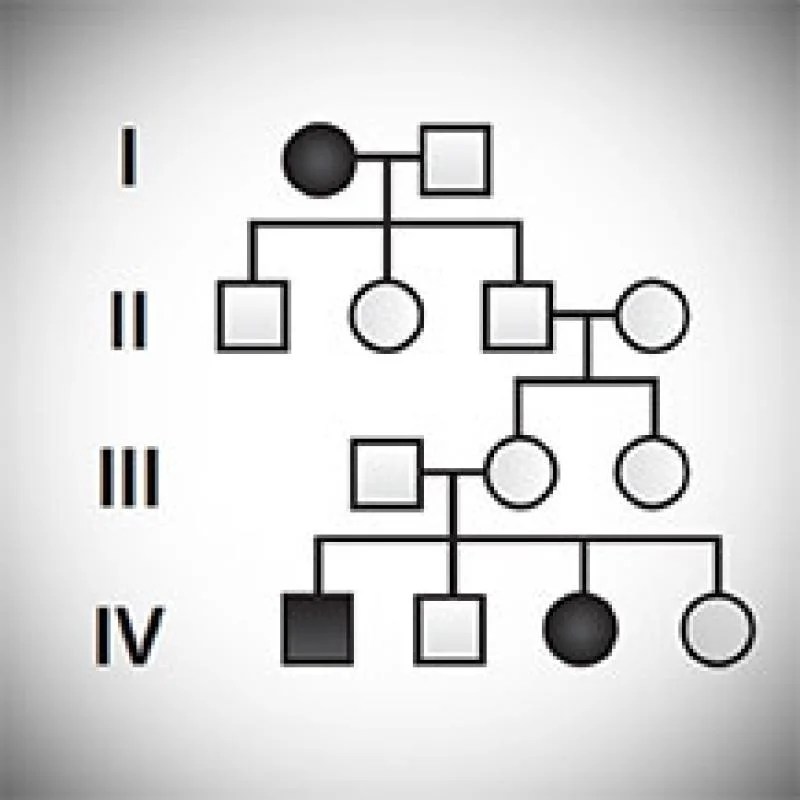 Mendelian genetics probability pedigrees and chi square statistics