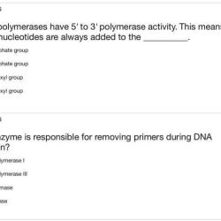 Cell cycle and dna replication practice worksheet