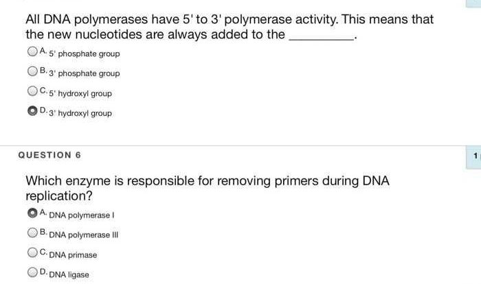 Cell cycle and dna replication practice worksheet