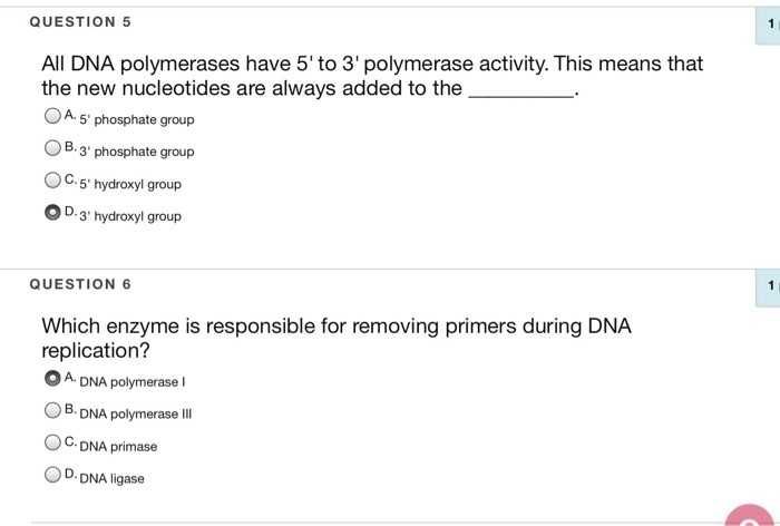 Cell cycle and dna replication practice worksheet