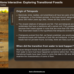 Great transitions interactive student worksheet answer key pdf